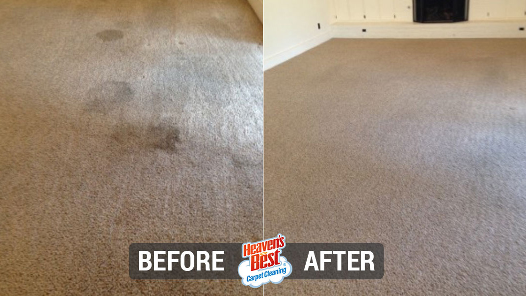 Heaven's Best Carpet Cleaning of Concord