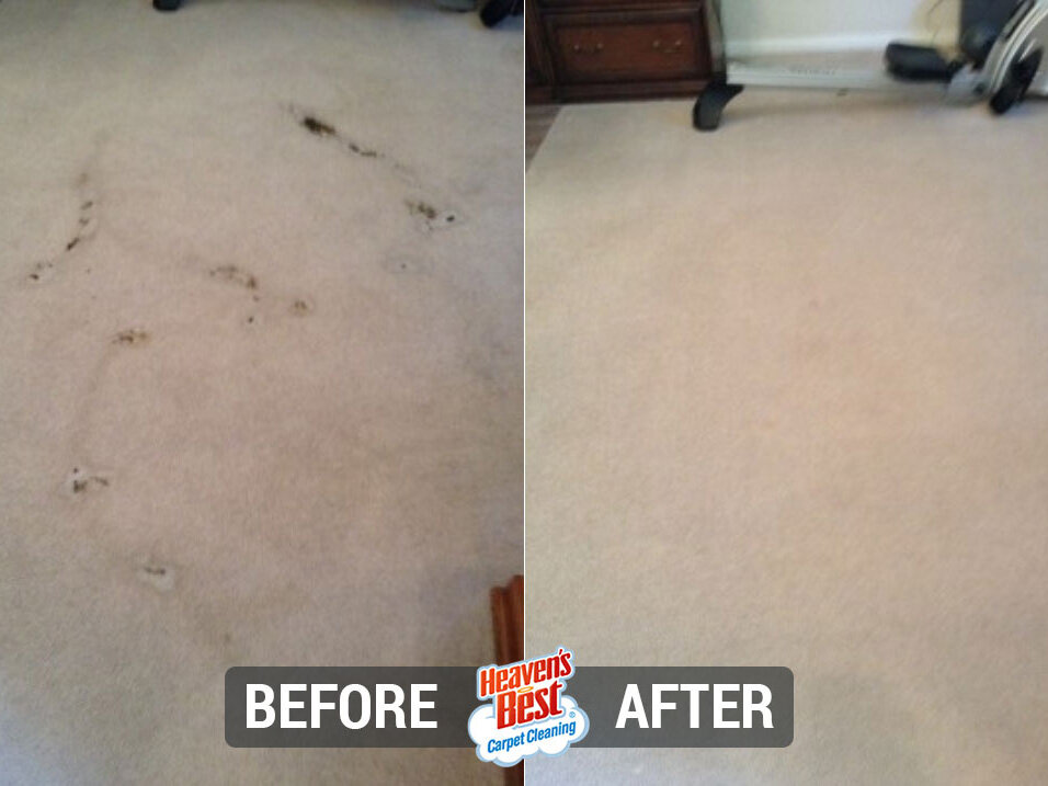 Heaven's Best Carpet Cleaning of Concord