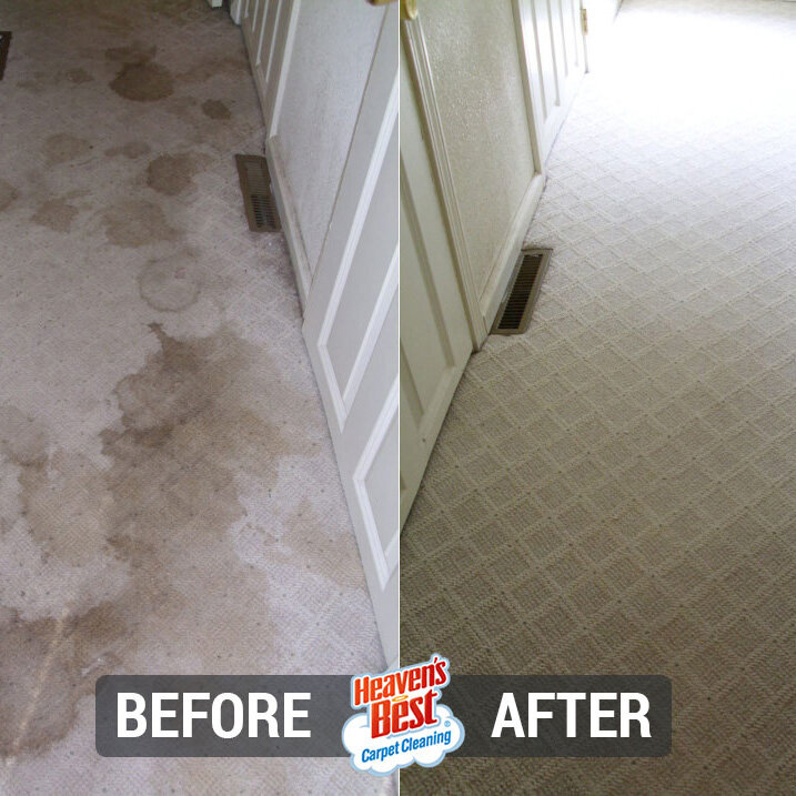 Heaven's Best Carpet Cleaning of Concord